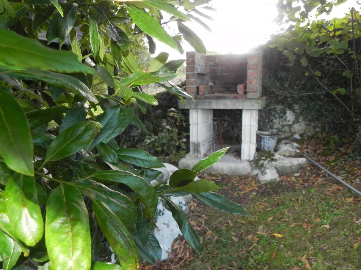 Apartamentos Rurales Vallanu Rodeados De Naturaleza En Llanes Y A 3 Kilometros De Las Playas Εξωτερικό φωτογραφία